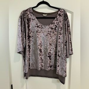 POL Medium Crushed Velvet Short Sleeve Top